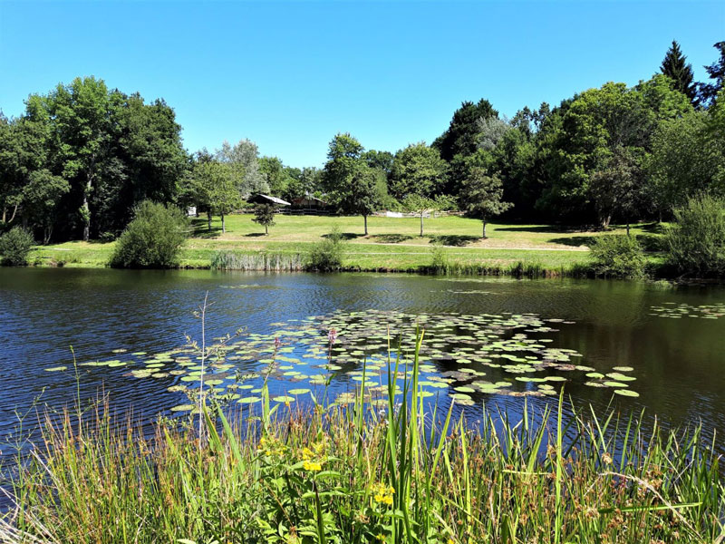 Camping Du Petit Bois A Camors